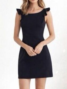 Club Monaco Navy Dress with Ruffle Sleeves
